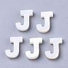 Natural Freshwater Shell Beads SHEL-T012-59J-1