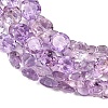 Natural Amethyst Beads Strands G-Z152-B01-01-4