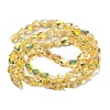Transparent Electroplate Glass Beads Strands GLAA-G116-03A-HR04-2