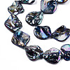 Freshwater Shell Beads Strands X-SHEL-N026-204-3