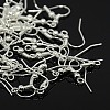 Iron Earring Hooks E135-S-1
