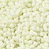 Opaque Colours Luster Glass Seed Beads SEED-B001-01A-01-3
