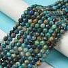 Natural Chrysocolla Beads Strands G-Z034-A03-03-2