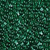 FGB Transparent Glass Seed Beads SEED-N013-01A-06-3
