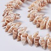 Natural Spiral Shell Beads Strands BSHE-I016-08-3