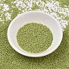 MIYUKI Delica Beads X-SEED-J020-DB2290-2