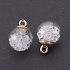 Transparent Glass Bottle Pendants LS-GLAA-L018-14-2