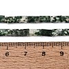 Natural Green Spot Jasper Beads Strands GG-N002-01A-28-5