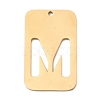 304 Stainless Steel Pendants STAS-D200-01M-G-1