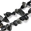 Natural Eagle Eye Stone Nuggets Beads Strands G-B125-A15-01-1