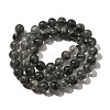 Natural Biotite Beads Strands G-F784-A03-02-3