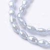 Electroplate Glass Beads Strands EGLA-J013-4X6mm-F04-3