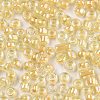 8/0 Glass Seed Beads SEED-A016-3mm-202-2