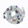 Natural Fluorite Beads Strands G-S331-6x8-007-2