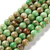 Dyed Natural Regalite/Imperial Jasper/Sea Sediment Jasper Beads Strands G-B124-C01-12-1