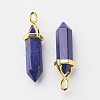 Natural Lapis Lazuli Double Terminated Pointed Pendants X-G-G902-B02-1