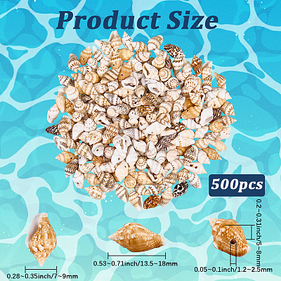 165g Natural Shell Pendants SHEL-PA0001-05-1