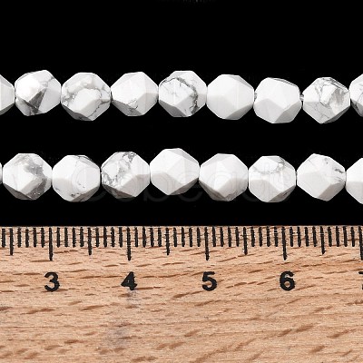 Natural Howlite Beads Strands G-Z119-A43-01-1