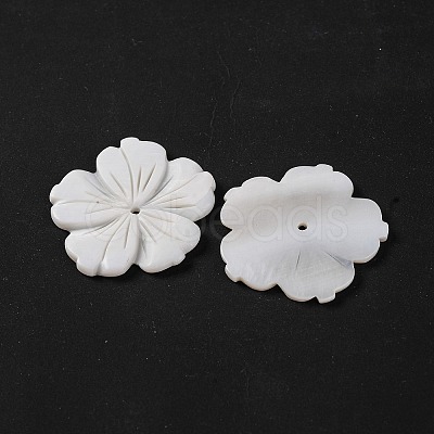 Natural Freshwater Shell Carved Beads BSHE-S304-16-1