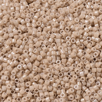 MIYUKI Delica Beads X-SEED-J020-DB0208-1