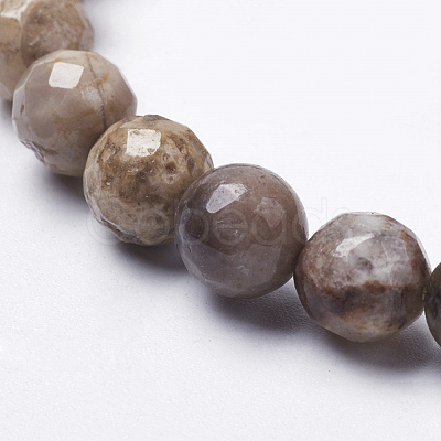 Natural Silver Leaf Jasper Beads Strands G-K181-10mm-O01-1