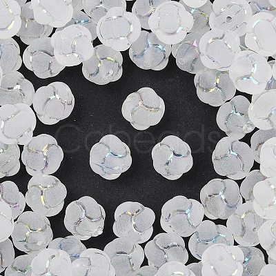 Frosted Transparent Acrylic Beads OACR-P029-16B-01-1