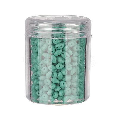 Czech Glass Seed Beads SEED-JP0005-63130-1