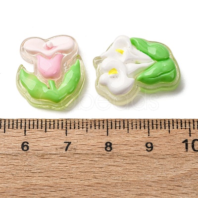 Transparent Resin Cabochons CRES-I046-09-1