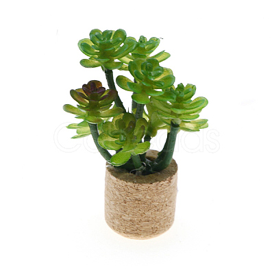 Plastic Potted Plant Mini Model PW-WGD7CCF-04-1