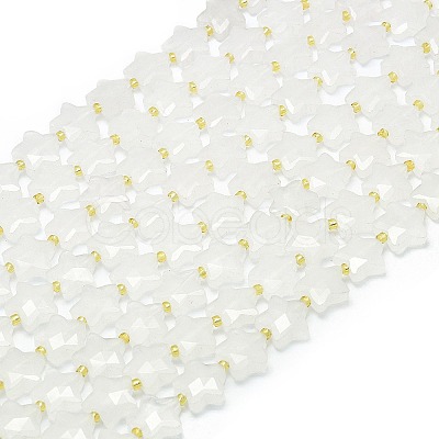 Natural Quartz Crystal Beads Strands G-P573-C03-01-1