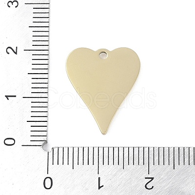 304 Stainless Steel Pendants STAS-L022-109G-02-1