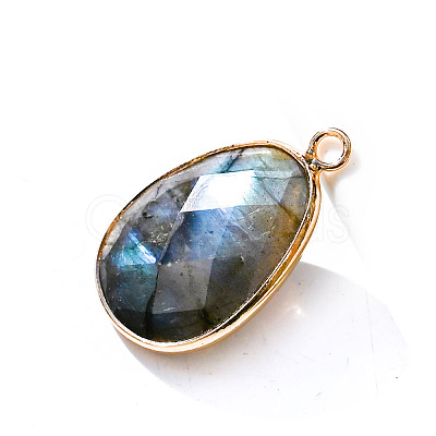 Natural Labradorite Pendants PW-WG32281-07-1