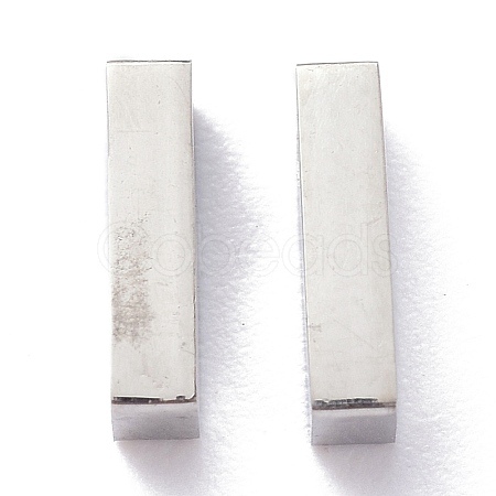 Tarnish Resistant 304 Stainless Steel Charms STAS-K216-41I-P-1