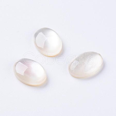 Shell Cabochons G-L470-15-1