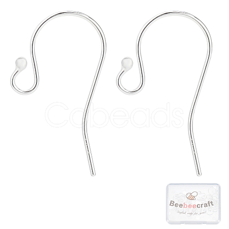10 Pair 925 Sterling Silver Earring Hooks STER-BBC0001-16-1