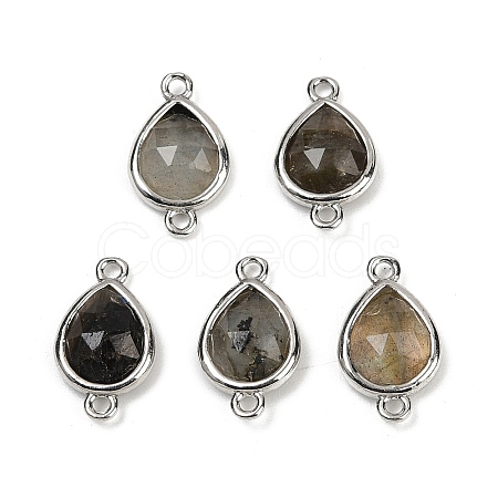 Natural Labradorite Faceted Connector Charms G-L514-048G-05-1