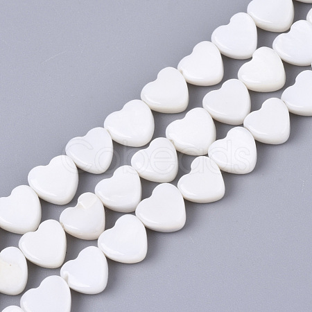 Natural Freshwater Shell Beads Strands X-SHEL-N027-01-1