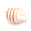 Natural Shell DJEW-WH0010-70-4