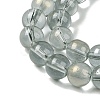 Glass Bead Strands GLAA-K068-01C-05-3