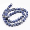 Natural Blue Spot Jasper Round Bead Strands G-D679-4mm-2