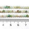 Natural Serpentine Beads Strands G-G161-D24-01-5