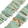 Natural Amazonite Beads Strands G-L551B-11-1