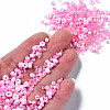 Glass Seed Beads SEED-S059-010-4