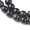 Natural Biotite Beads Strands G-L528-06C-2
