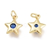 Brass Micro Pave Cubic Zirconia Charms KK-M206-30G-02-1
