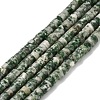 Natural Green Spot Jasper Beads Strands G-Z110-A18-2x4mm-2