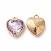 Faceted Glass Rhinestone Pendants GLAA-I051-B06-1