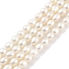Natural Cultured Freshwater Pearl Beads Strands PEAR-P062-03C-2