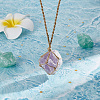 Natural Amethyst Irregular Nugget Pendant Necklace NJEW-AB00004-4