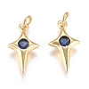 Brass Micro Pave Cubic Zirconia Charms ZIRC-G168-53G-2